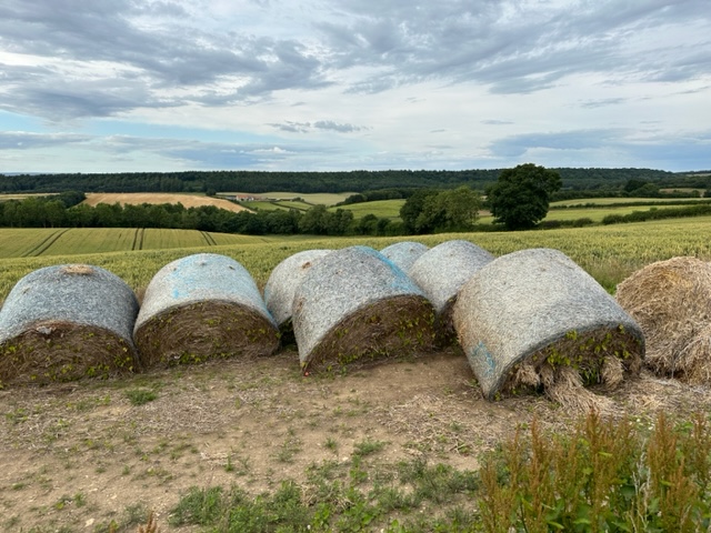 Medium run, Terrington