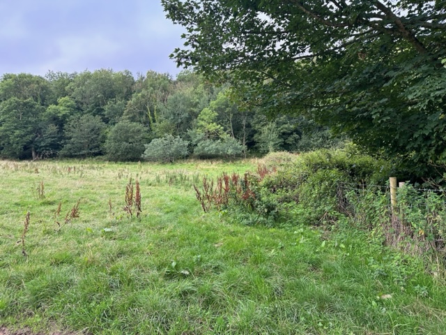  Medium run, Copmanthorpe