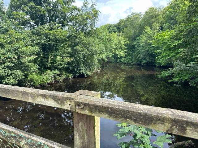  Long run and medium walk, Knaresborough
