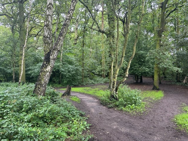  Long run, Bishopthorpe